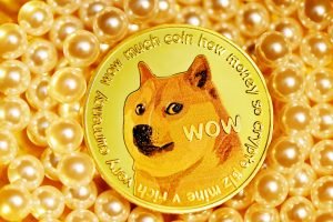 Alt du trenger å vite om Bitcoin og Dogecoin