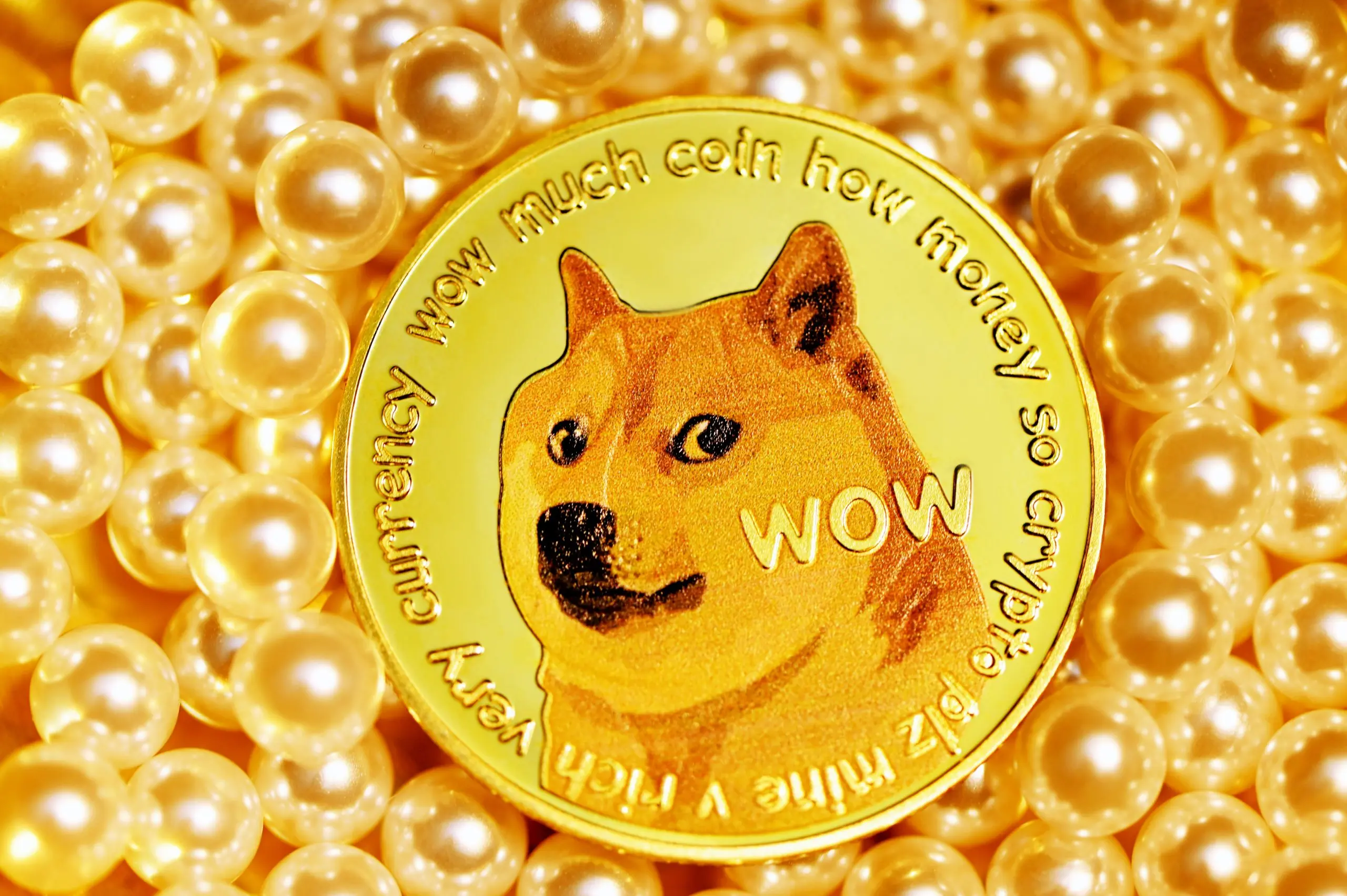 Alt du trenger å vite om Bitcoin og Dogecoin - Nettklikk